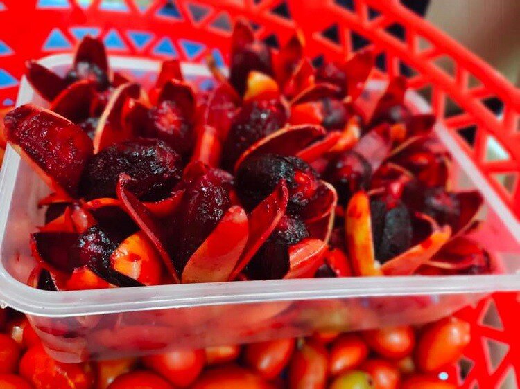 Loại quả có tên nghe rợn người là đặc sản chỉ Quảng Ninh mới có, giá 150.000đ/kg vẫn "cháy hàng" vì siêu hiếm - 2