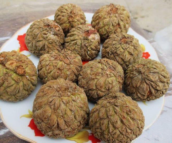 Loại quả phải dùng búa để ăn, xưa đầy không ai nhặt nay chưa rụng đã có người "săn", hàng không có mà bán - 2