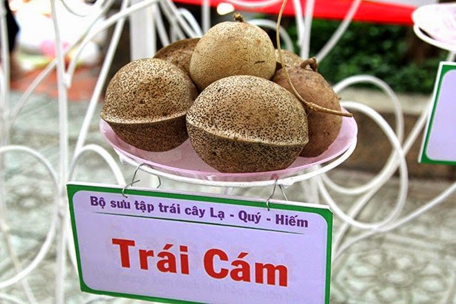 Loại quả thơm mát ngọt lành người miền Tây si mê nhưng hiếm ai biết tên, xưa nhặt là có nay thành "của quý" - 2