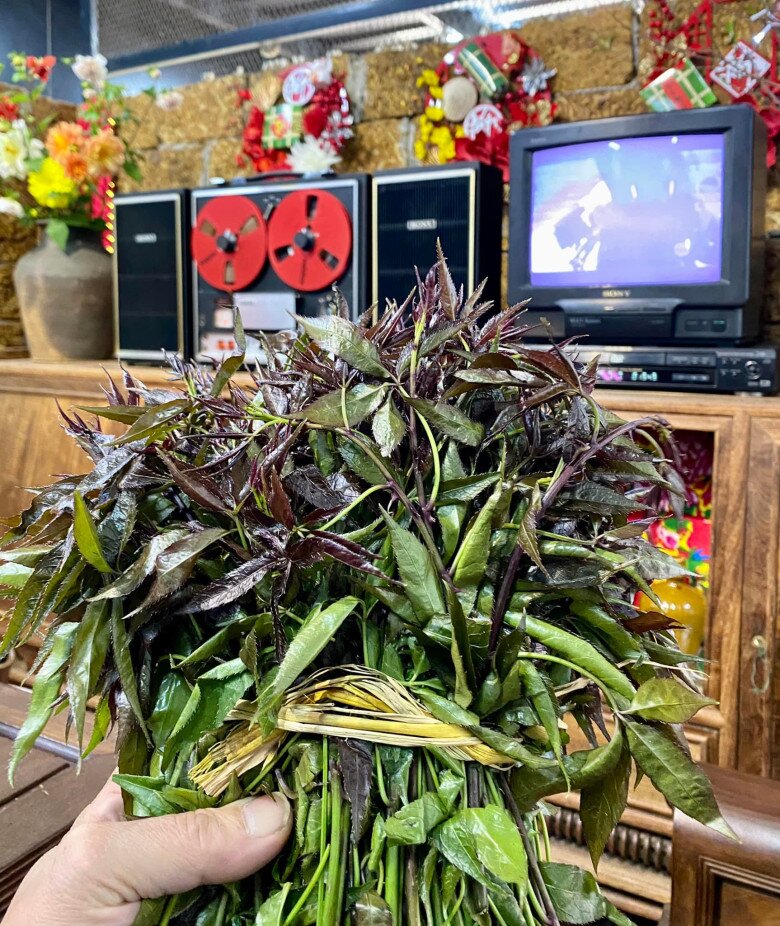 Loại rau mọc dại được xem như "sâm núi", là kho báu của rừng bởi hương vị đặc trưng, giá tới 90.000 đồng/kg - 5