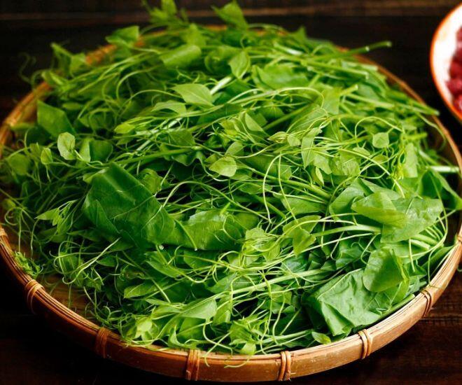 Loại rau khiến khách &#34;bịt mũi&#34; bỏ chạy lại thành đặc sản xuất khẩu sang Mỹ nhờ hương vị lạ và siêu bổ dưỡng - 1