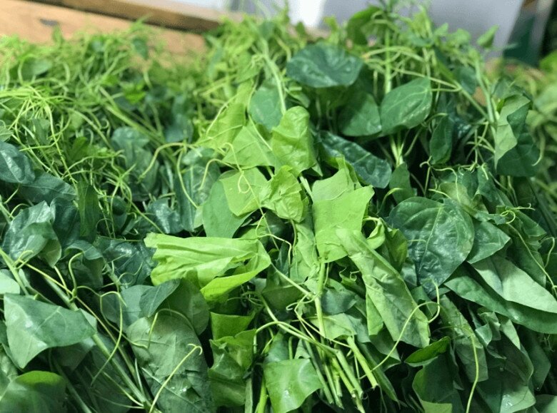 Loại rau khiến khách &#34;bịt mũi&#34; bỏ chạy lại thành đặc sản xuất khẩu sang Mỹ nhờ hương vị lạ và siêu bổ dưỡng - 3