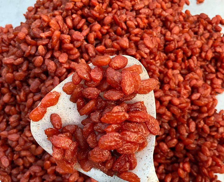 Loại quả xưa chỉ trồng làm cảnh rụng bỏ đi, nay chế biến thành đặc sản giá tới 200.000đ/kg cũng khó mà mua - 4