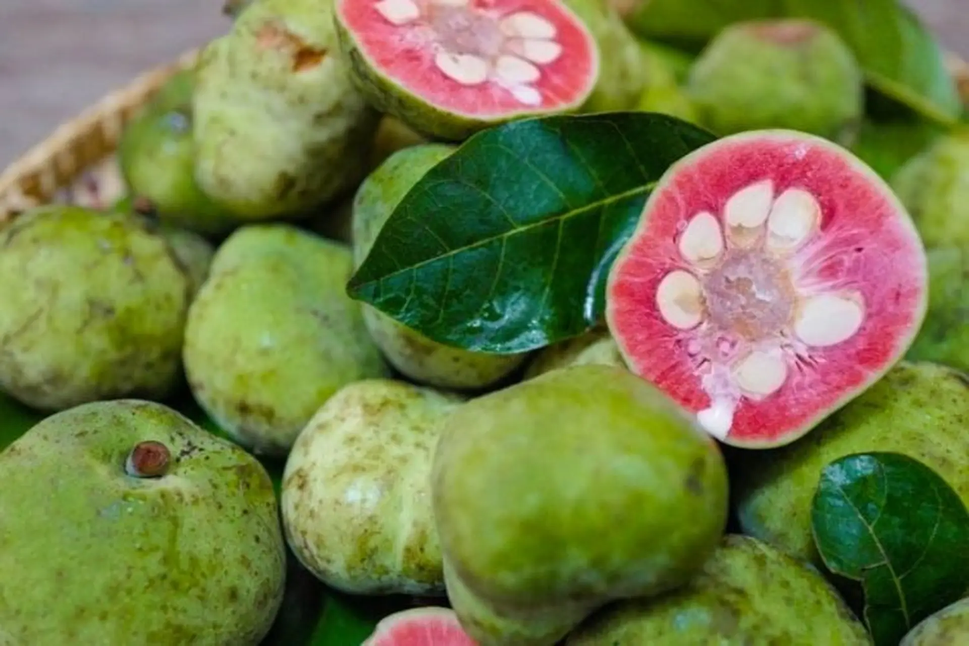 Thứ quả có ruột màu hồng cực xinh xưa đầy ở quê nay thành đặc sản thành phố, giá ngang trái cây nhập khẩu - 2
