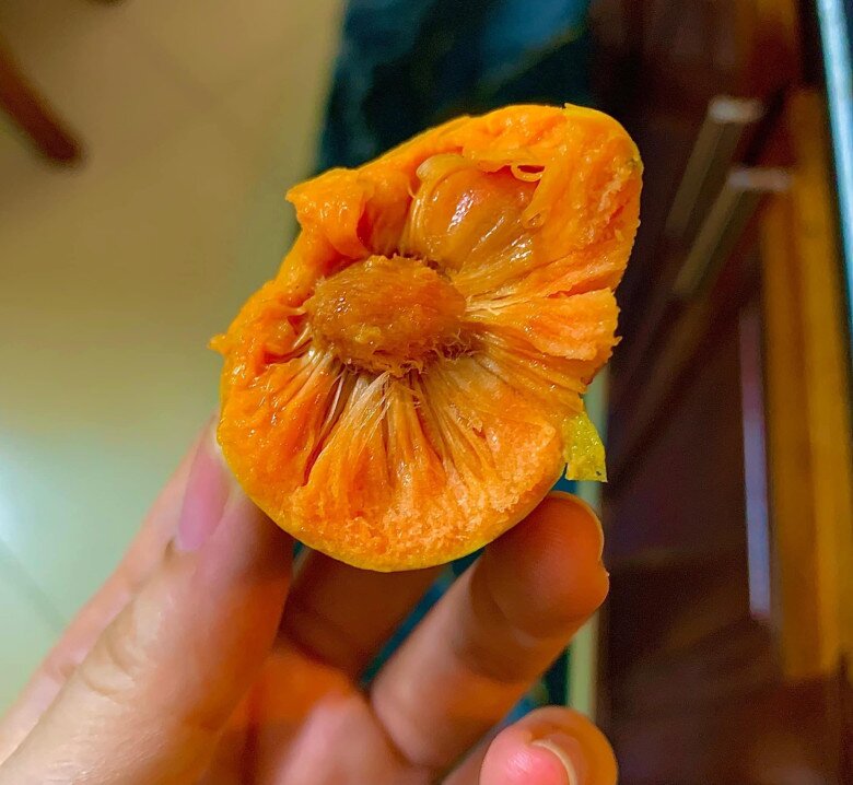 Thứ quả có ruột màu hồng cực xinh xưa đầy ở quê nay thành đặc sản thành phố, giá ngang trái cây nhập khẩu - 3