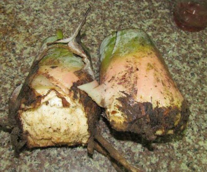 Thứ xưa nhà nghèo ăn chống đói nay thành đặc sản đóng hộp bán khắp nơi, người thành phố nhìn mà thòm thèm - 1