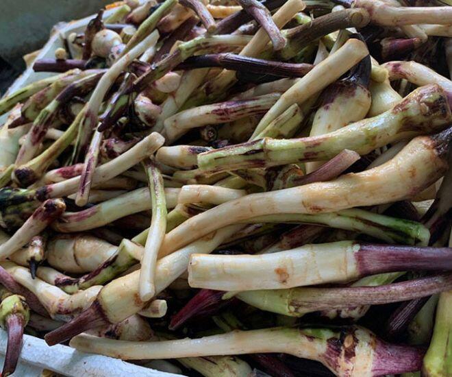 Thứ xưa nhà nghèo ăn phát chán còn vứt cho lợn nay thành đặc sản được đóng túi bán khắp nơi, thử một lần là "nghiện" - 1