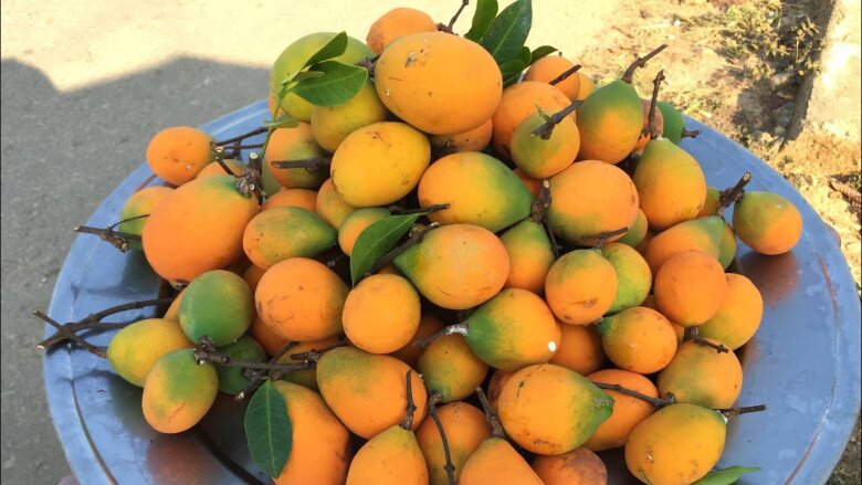 Loại quả xưa rụng thối gốc không ai nhặt, giá rẻ như cho nay thành đặc sản thành phố, 150.000 đồng/kg vẫn "cháy hàng" - 5