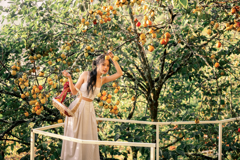 Đà Lạt vào mùa hồng chín – góc nào cũng lên hình đẹp mê như Tăng Thanh Hà - 1