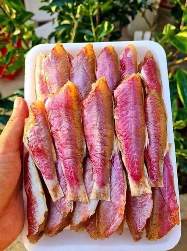 Cá nghe tên đã thấy &#34;phèn&#34; tưởng không ai ăn lại là đặc sản ở Quảng Ninh, giá trị dinh dưỡng cao giá bán 250.000 /1 kg - 3