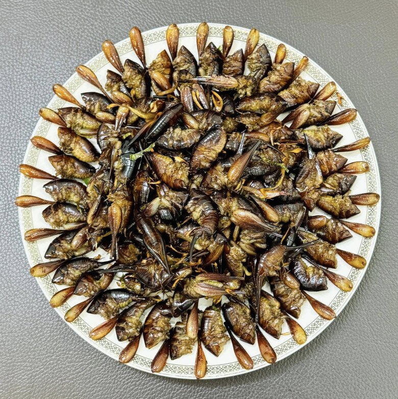 Loài tôm kỳ lạ leo trên cây ở Lạng Sơn, được dân sành ăn coi như đặc sản khen nức nở, nửa triệu đồng mỗi ký vẫn tìm mua - 2