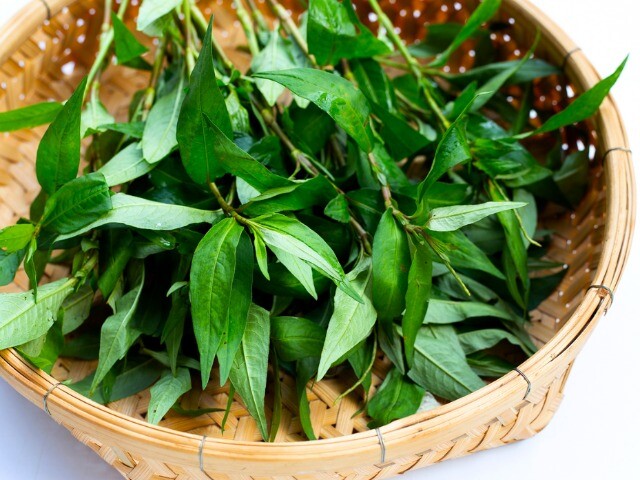 13 loại rau gia vị ít “ngậm” hóa chất, vừa giúp món ăn ngon, vừa tốt cho sức khỏe, từ 2.000 đồng đã mua được