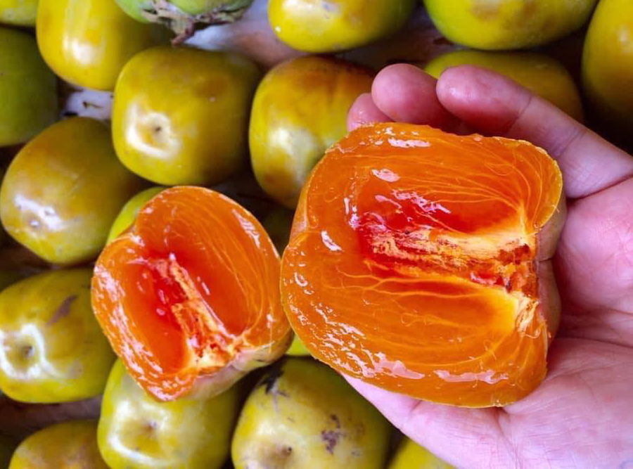 Loại quả xưa rụng đầy gốc không ai ngó ngàng, nay lên đời thành đặc sản Thái Nguyên, mềm dẻo như thạch, 200.000 đồng/kg - 2