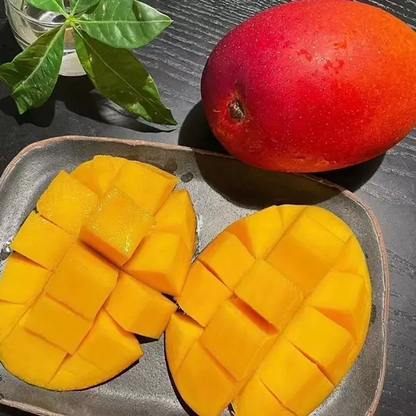 Loại quả đặc sản đắt đỏ bậc nhất thế giới giá tới 3 triệu đồng/kg, Việt Nam trồng thành công, nhiều người tìm mua - 3