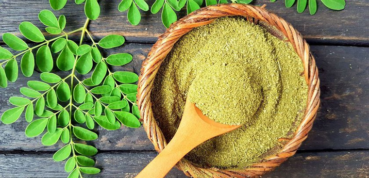 Nghề lạ ở Việt Nam: Loại rau được ví như "tổ yến của người nghèo", trồng 3 tháng cho thu hoạch thành đặc sản hút khách - 2