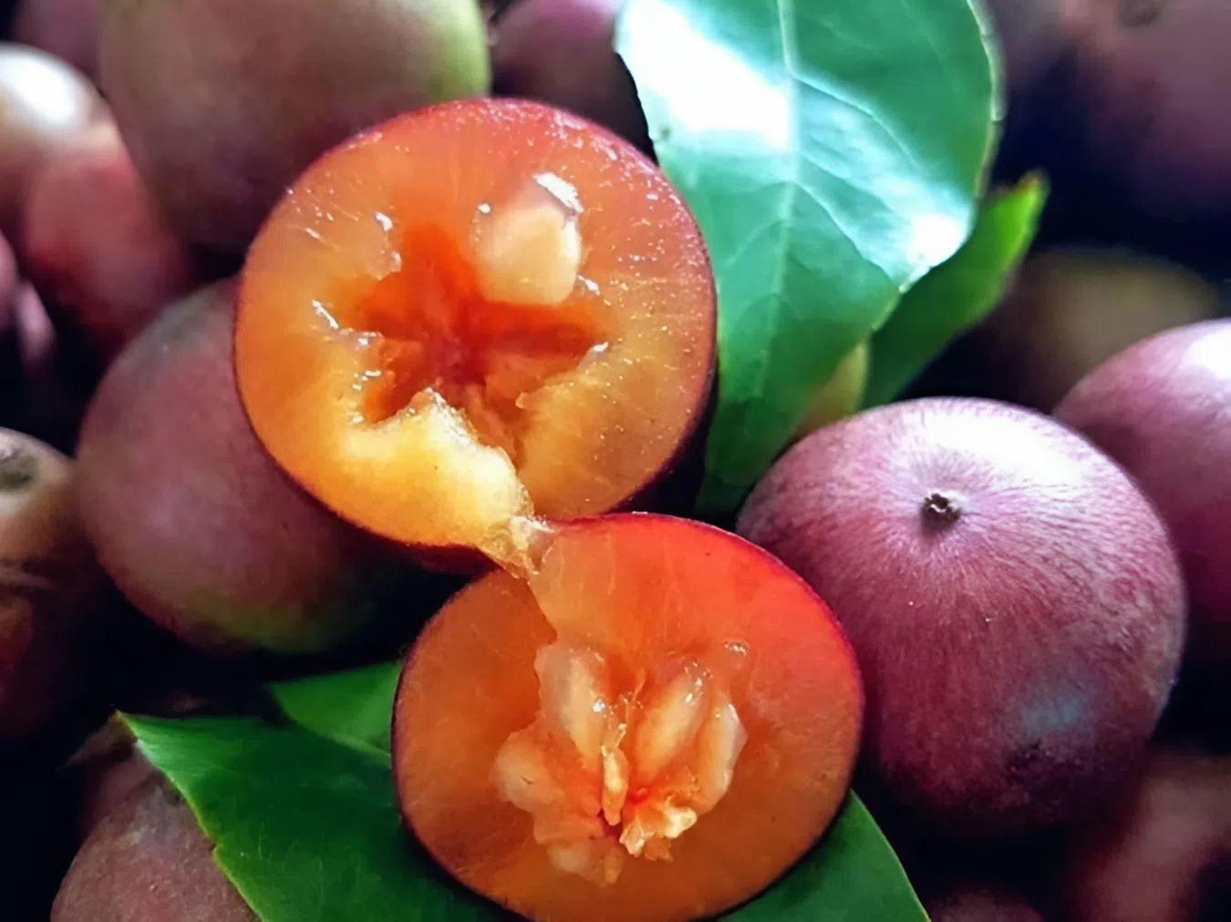 Loại quả xưa không ai ngó ngàng, nay lên đời thành đặc sản được dân thành phố ưa chuộng, bán 80.000 đồng/kg - 2