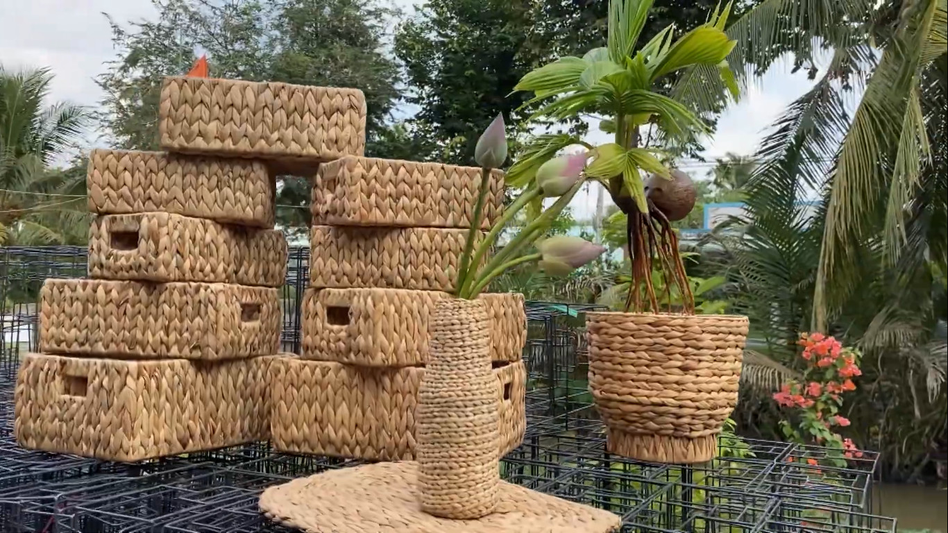 Nghề lạ ở Việt Nam: Nông dân kiếm tiền triệu nhờ thứ tưởng bỏ đi, tới mùa thu hoạch là xuất hiện đầy đường - 5