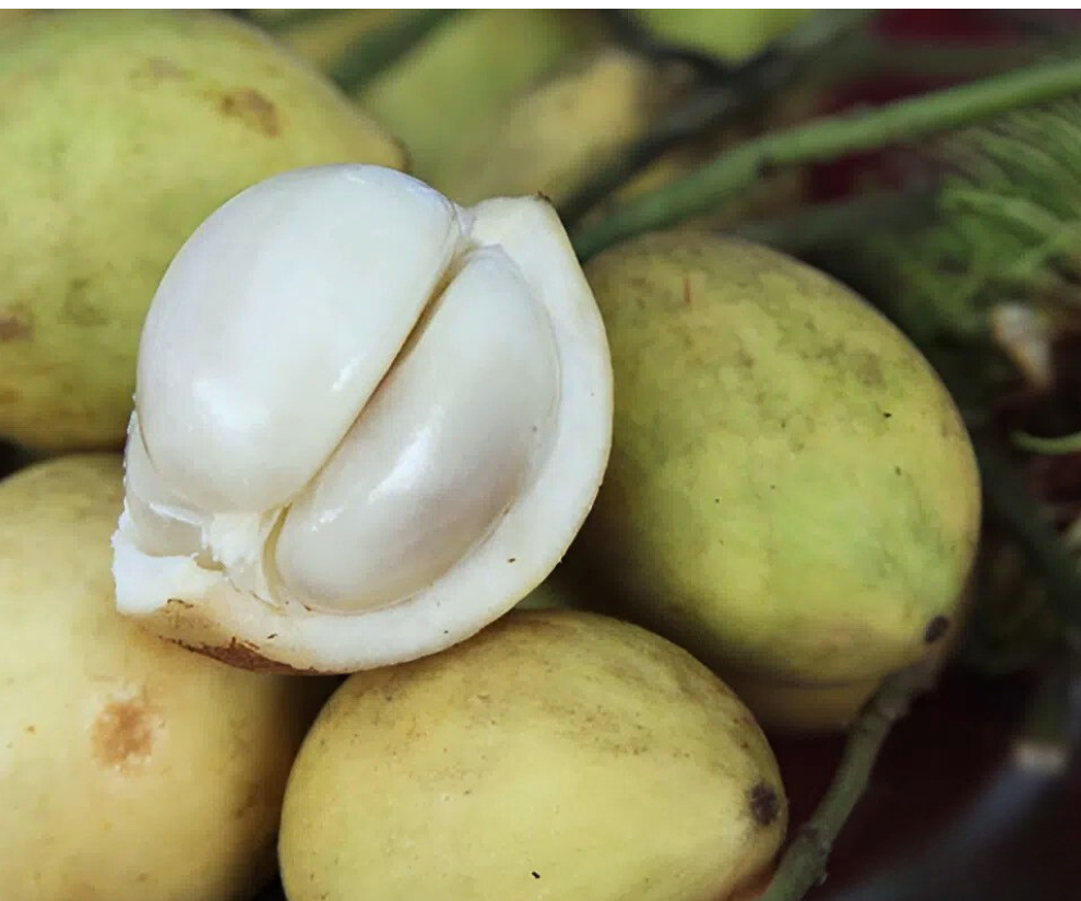 Loại quả xưa rụng đầy gốc không ai ngó ngàng, nay lên đời thành đặc sản miền Tây dân thành phố thích mê, 30.000 đồng/kg - 1