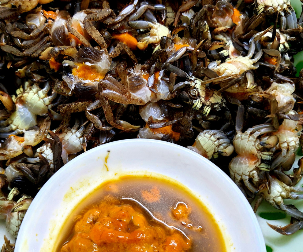 Đặc sản vùng nước lợ được ví như “lộc trời”, giá đắt đến 200.000 đồng/kg vẫn được người dân săn lùng tìm mua - 1