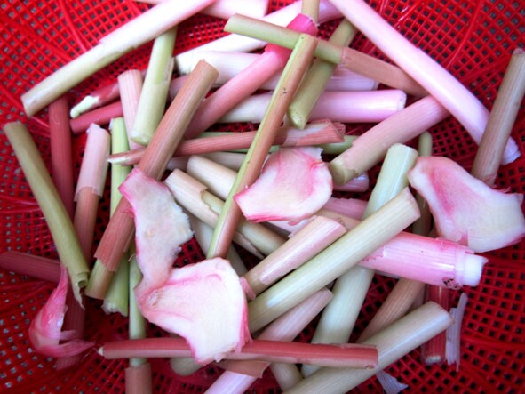 Cây dại mọc bờ bụi xưa dành cho "người nghèo", nay thành đặc sản có hương vị đặc biệt được ưa chuộng, 70.000 đồng/kg - 2