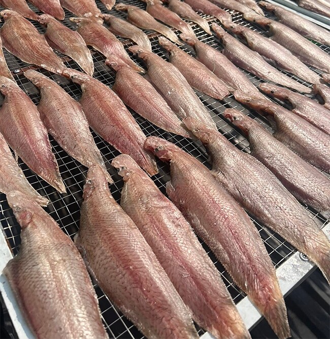 Loài cá quen thuộc "tốt hơn cá hồi", bán đầy chợ nhưng ít người mua ăn, nay thành đặc sản 100.000 đồng/kg - 4