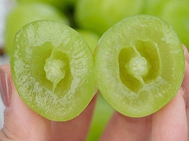 Loại quả đắt bậc nhất thế giới, Việt Nam trồng thành công một lần cho thu hoạch nhiều năm, là đặc sản nổi tiếng giá 450.000 đồng/kg  - 3