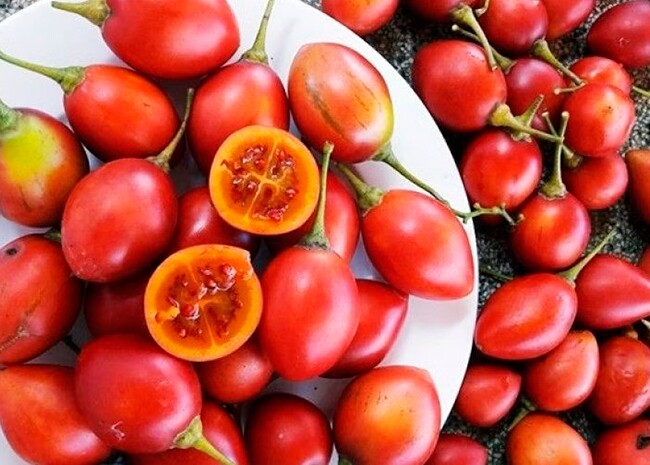 Loại quả đắt đỏ trên thế giới, Việt Nam trồng đại trà chỉ 6 tháng cho thu hoạch, thành đặc sản được ưa chuộng - 2