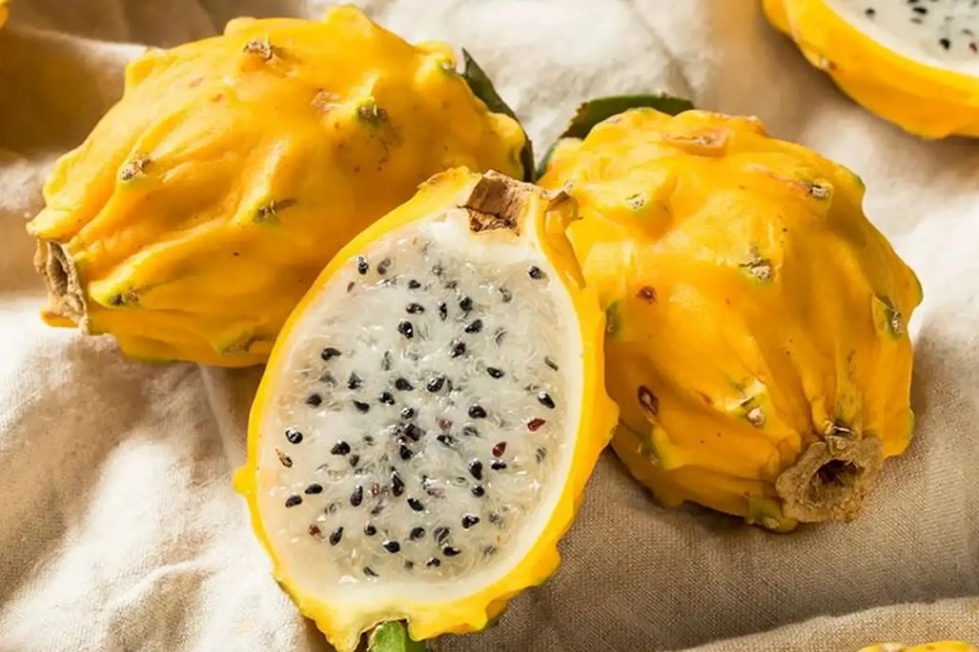 Loại quả đắt nhất thế giới, Việt Nam trồng đại trà 10 tháng cho thu hoạch, thành đặc sản nổi tiếng giá 300.000 đồng/kg - 2