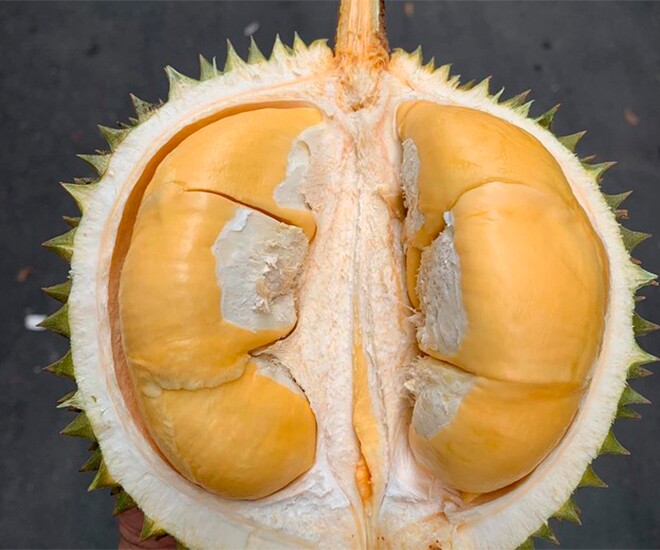 Loại quả đắt nhất thế giới, Việt Nam trồng thành công một lần thu hoạch nhiều năm, là đặc sản nổi tiếng 400.000 đồng/kg - 1