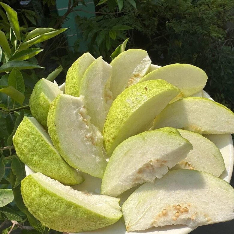 Loại quả "tốt nhất thế giới" được trồng bạt ngàn ở Việt Nam, chỉ 8 tháng cho thu hoạch, thành đặc sản từ 10.000 đồng/kg - 2