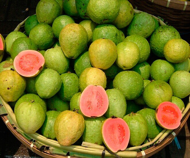 Loại quả "tốt nhất thế giới" được trồng bạt ngàn ở Việt Nam, chỉ 8 tháng cho thu hoạch, thành đặc sản từ 10.000 đồng/kg - 4