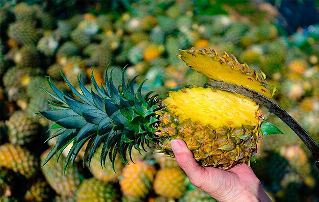 Loại quả "tốt nhất thế giới" được trồng bạt ngàn ở Việt Nam, thành đặc sản chỉ từ 11.000 đồng/kg, tốt cho sức khỏe - 2