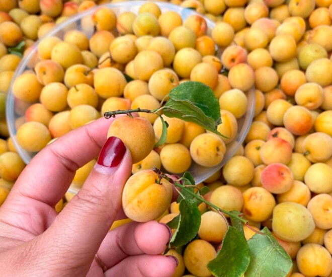 Loại quả &#34;tốt nhất thế giới&#34;, Việt Nam trồng bạt ngàn thành đặc sản chỉ từ 25.000 đồng/kg, tốt cho sức khỏe - 1