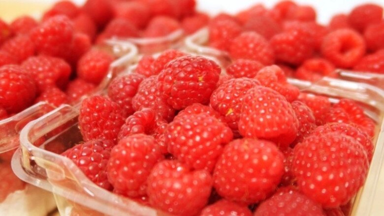 Loại quả "tốt nhất thế giới" được trồng bạt ngàn ở Việt Nam, thành đặc sản chỉ từ 70.000 đồng/kg, tốt cho sức khỏe - 3