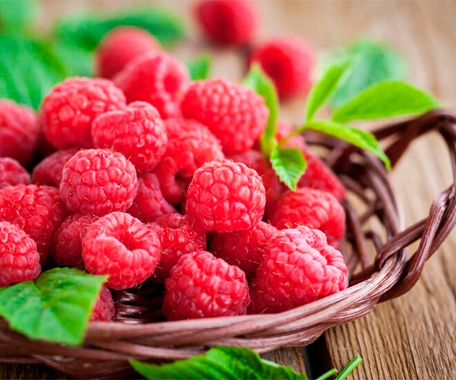 Loại quả "tốt nhất thế giới" được trồng bạt ngàn ở Việt Nam, thành đặc sản chỉ từ 70.000 đồng/kg, tốt cho sức khỏe - 1