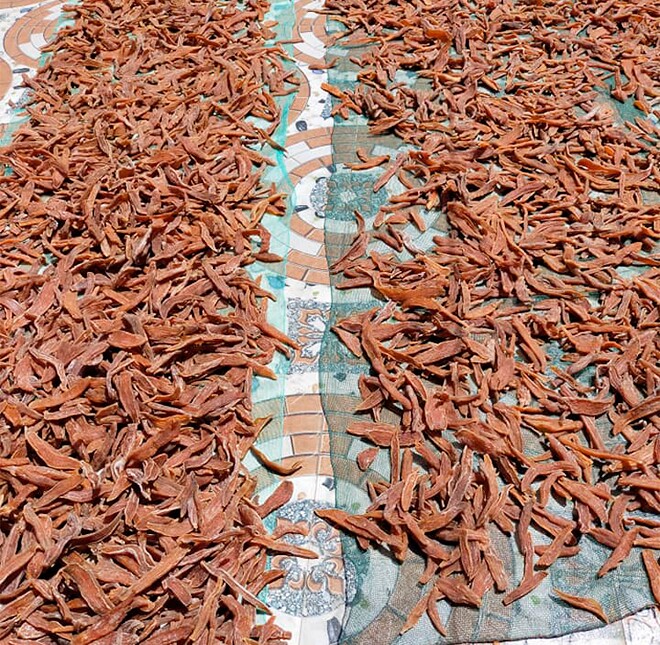 Món "nhà nghèo" xưa ăn đến chán ngán, nay thành đặc sản khoái khẩu được ưa chuộng ở thành phố, giá 170.000 đồng/kg - 2