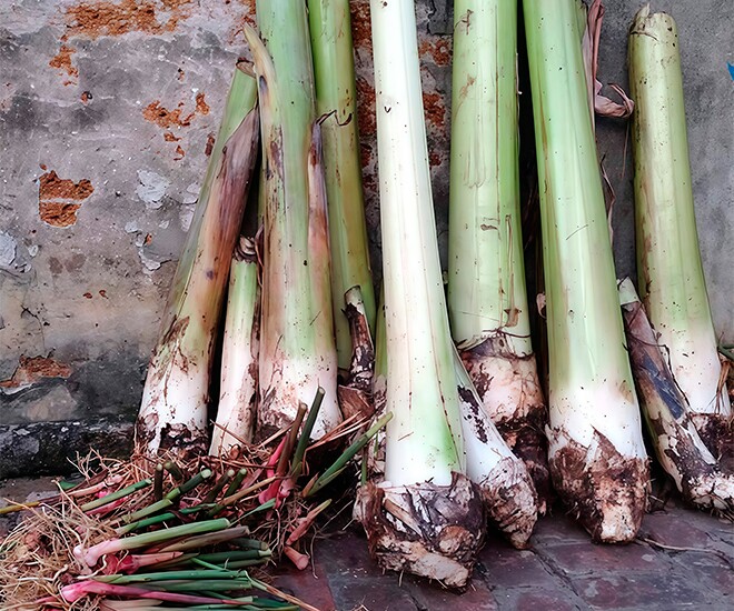 Món "nhà nghèo" xưa ăn đến chán ngán, nay thành đặc sản khoái khẩu trong nhà hàng, được người thành phố ưa chuộng - 1