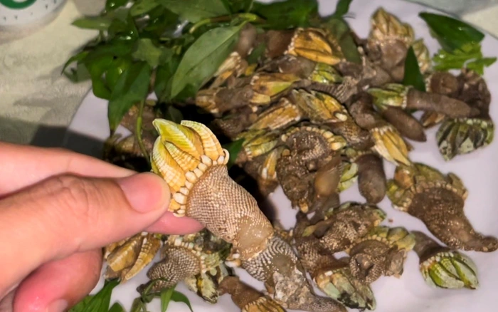 Đặc sản có nhìn "nổi da gà" xưa không ai biết giờ được giới sành ăn săn lùng, giá hàng triệu đồng/kg - 2