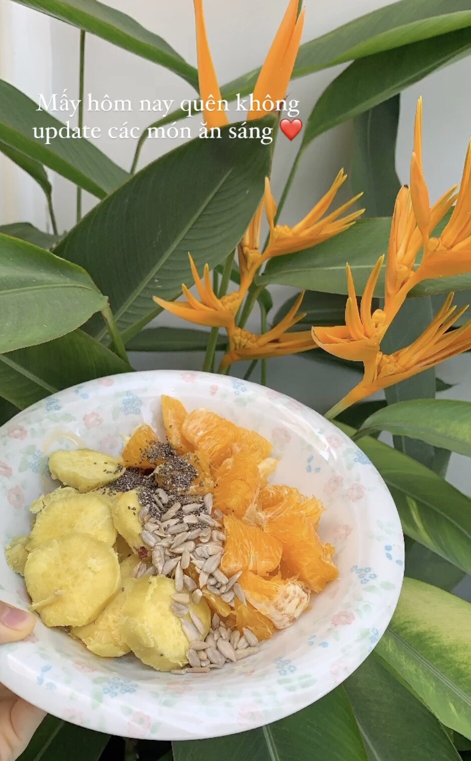 Hoa hậu Phương Khánh 30 tuổi vẫn trẻ đẹp như gái 20 nhờ bữa sáng &#34;không thịt&#34;, ưu ái đúng 4 nguyên liệu này - 2