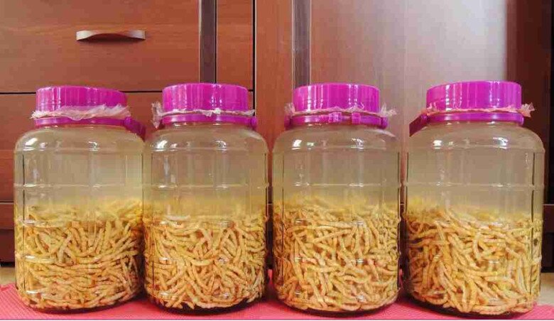 Lộc trời nhìn sợ khiếp vía hóa ra là "thần dược phòng the", thành đặc sản đắt đỏ nhất nhì Việt Nam, giá 3 triệu đồng/kg - 3